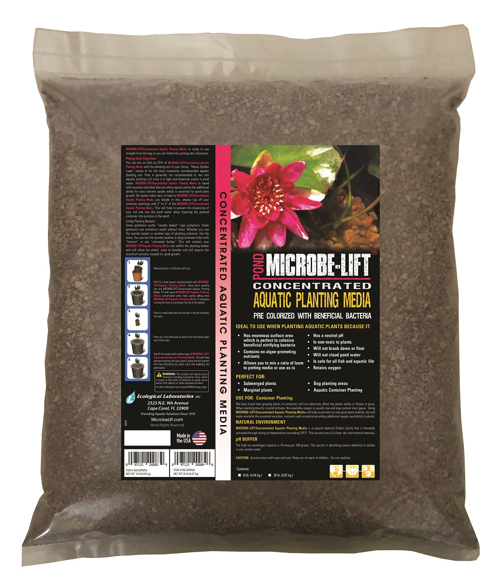 MLCAPM10 1 MLCAPM10 1