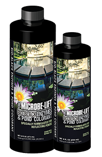 Original Pond Colorants