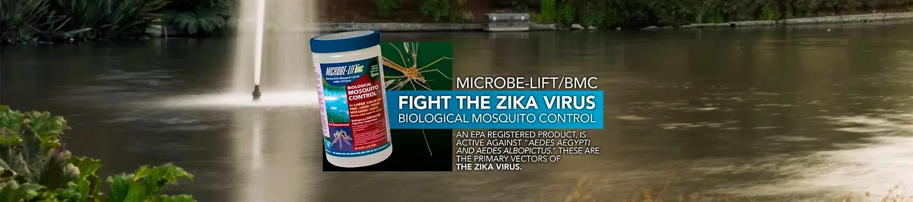 Zika Virus slide