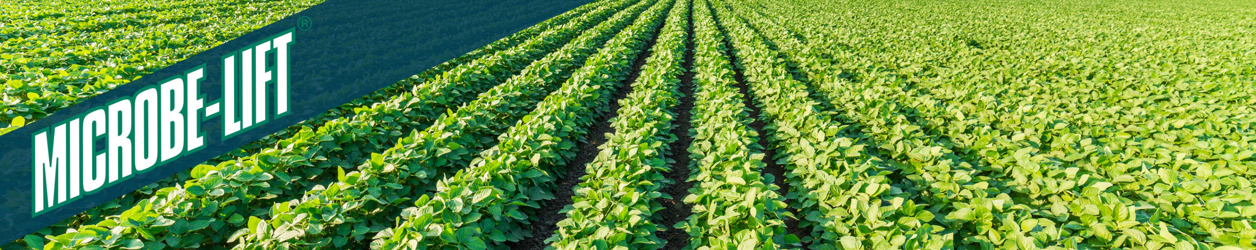 AGRICULTURE 1 scaled