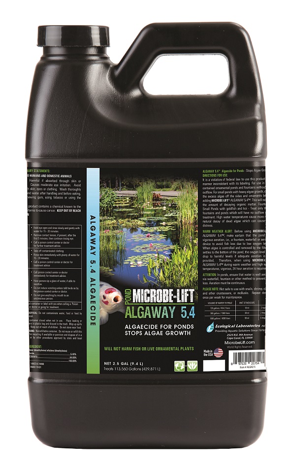 ALGA2 5 1