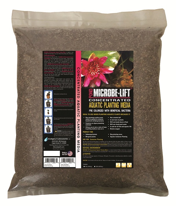 MLCAPM10