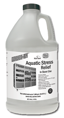 StressReliefProfessional
