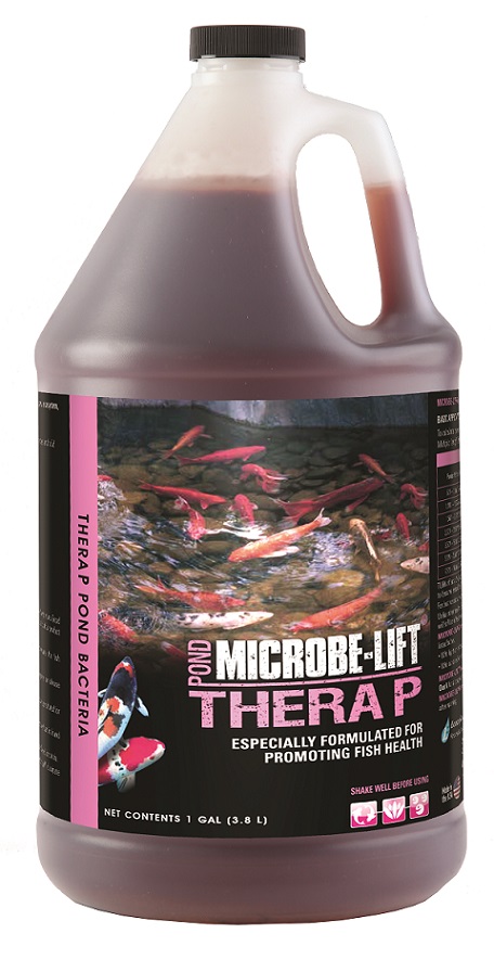 THERAPG4