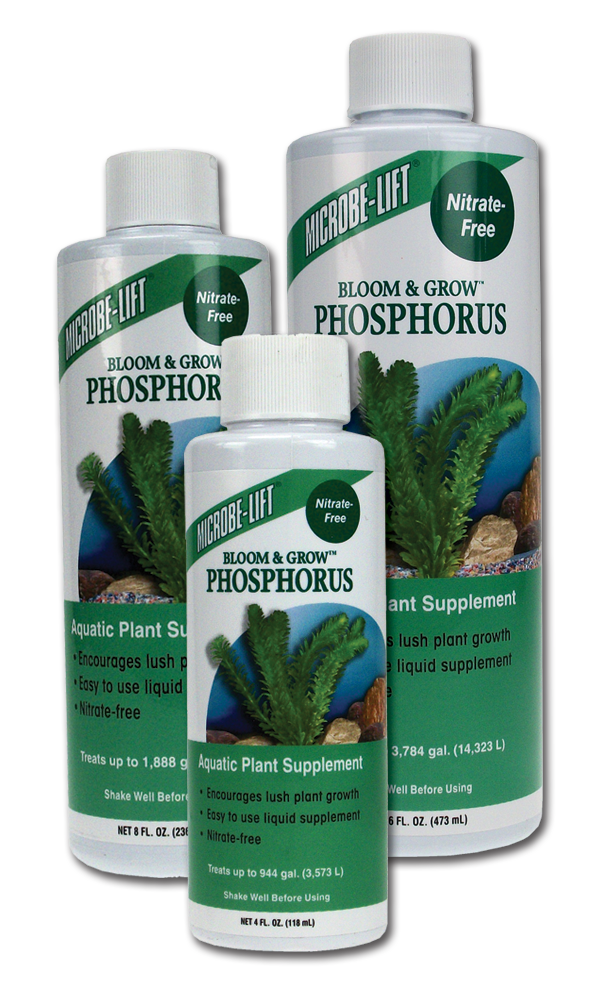 phosphorus collage