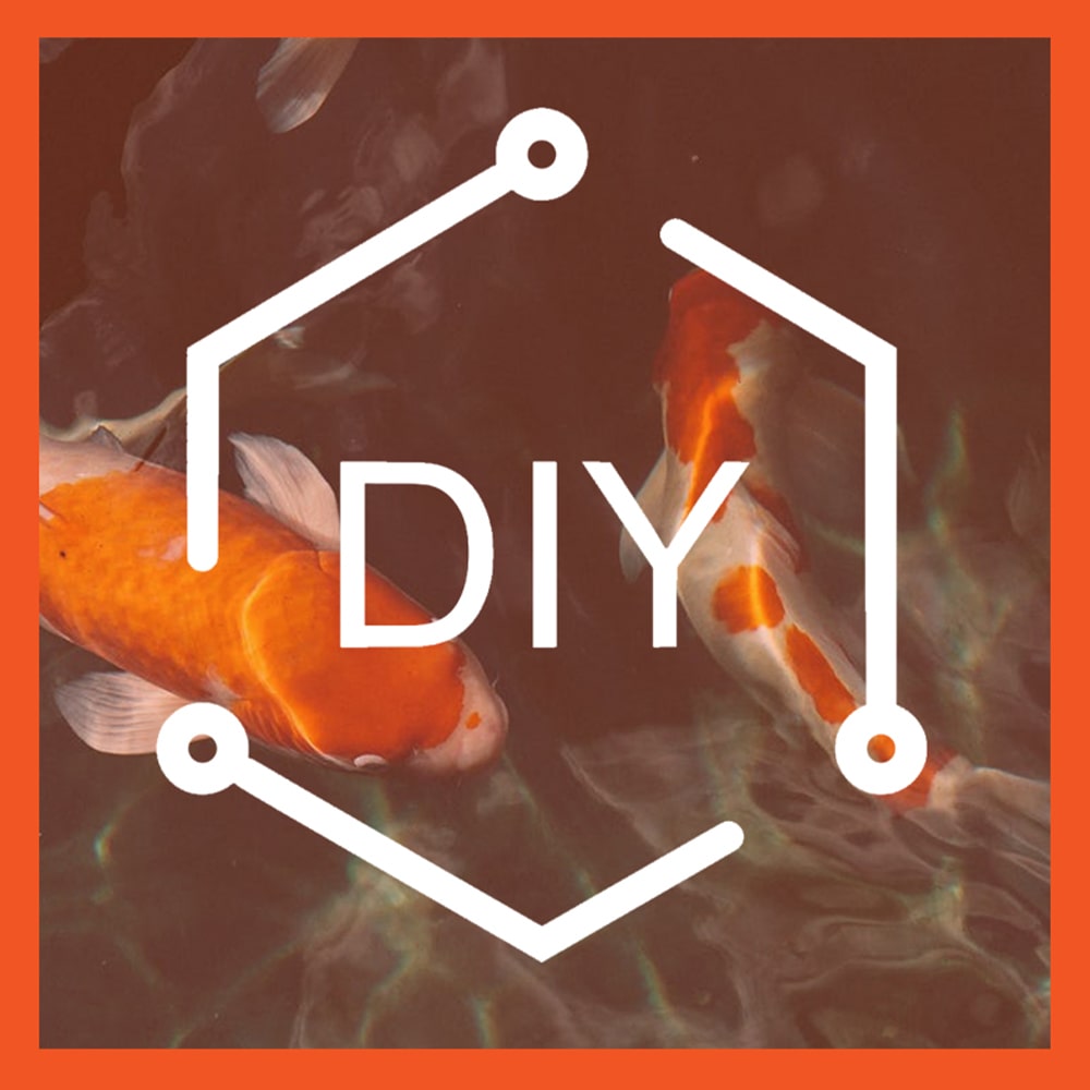 2a Features CleanPond Maintenance min