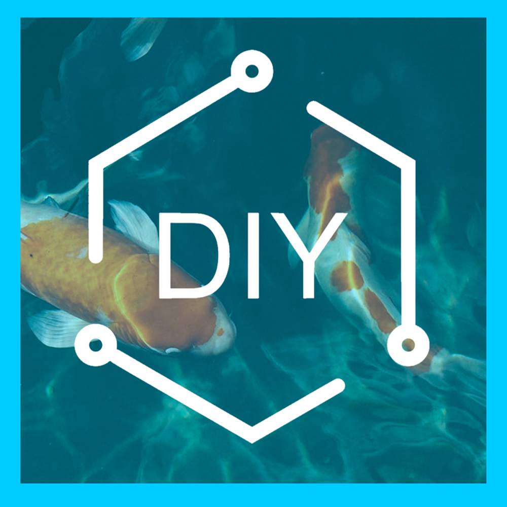 2a Features CleanPond Startup