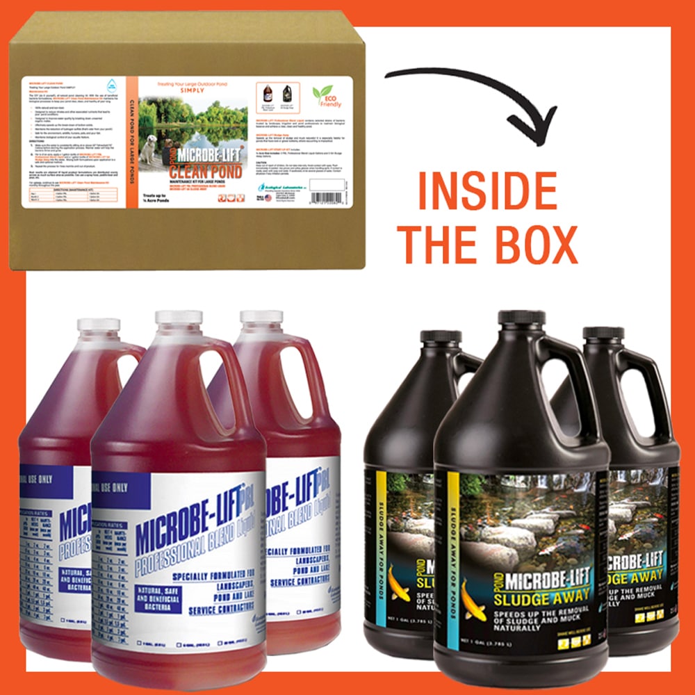 2d Features CleanPond Maintenance min