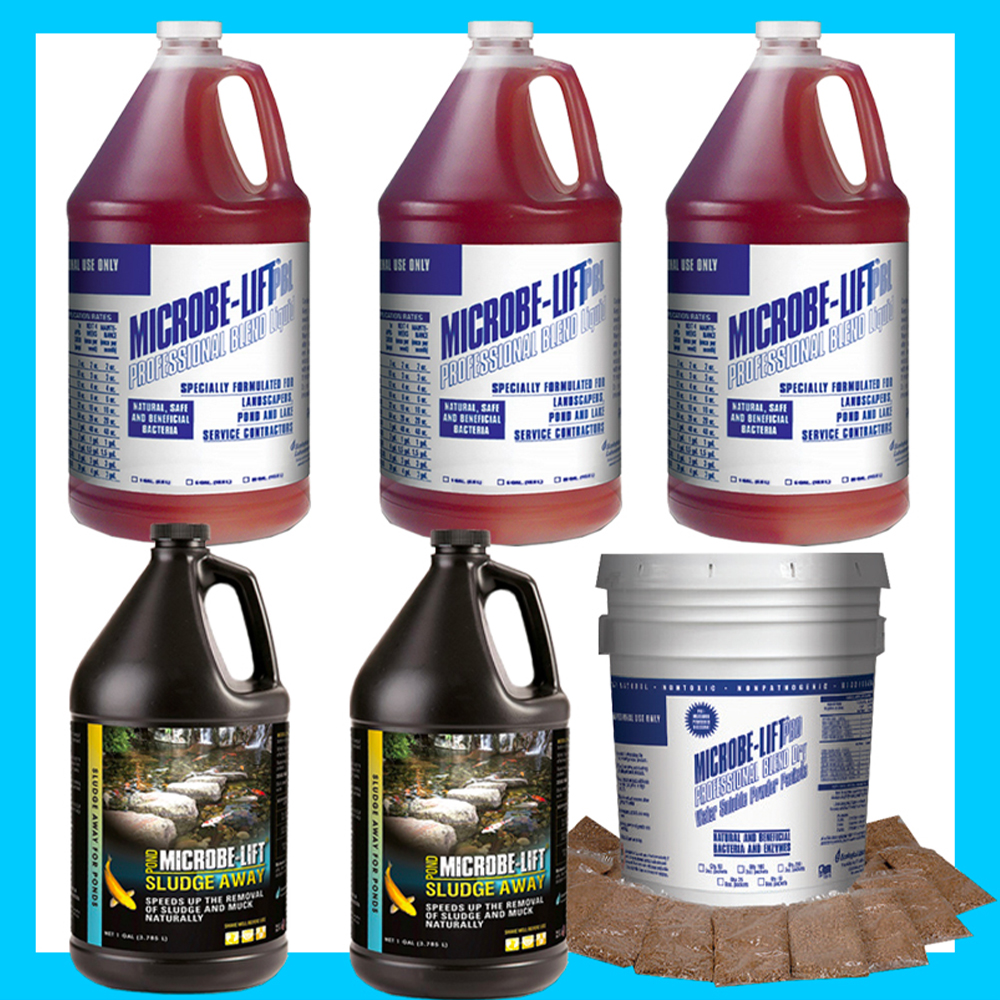 2d Features CleanPond Startup