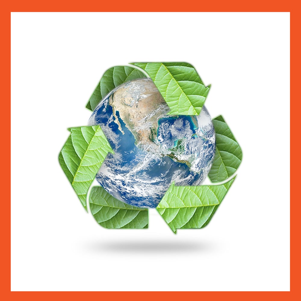 2f Features CleanPond Maintenancep min