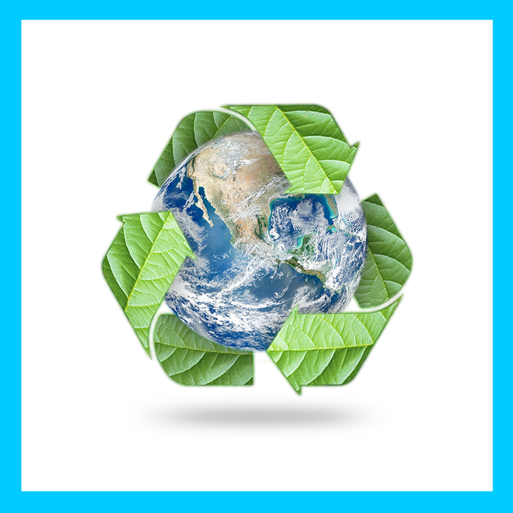 2f Features CleanPond Startup