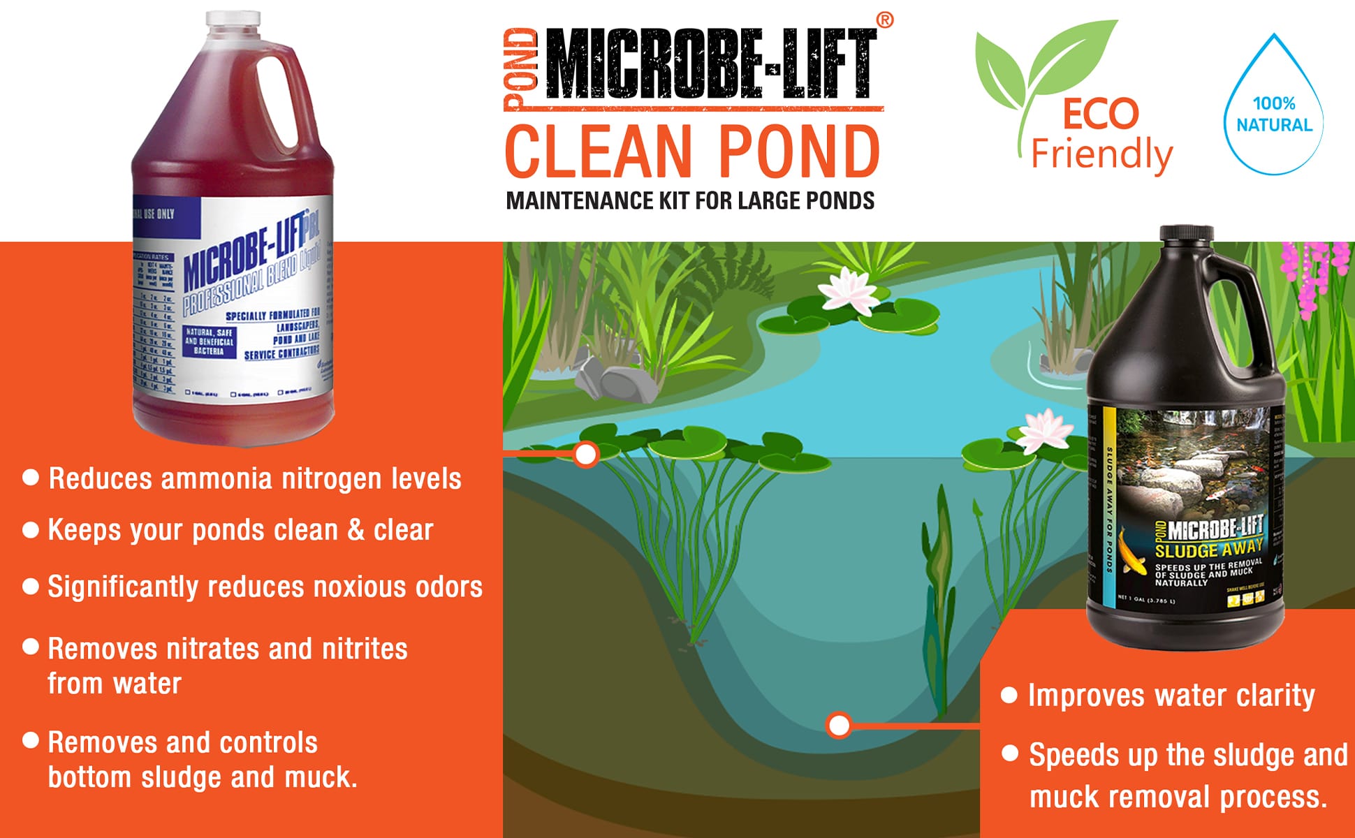 3Standard Image Header CleanPond Maintenance min