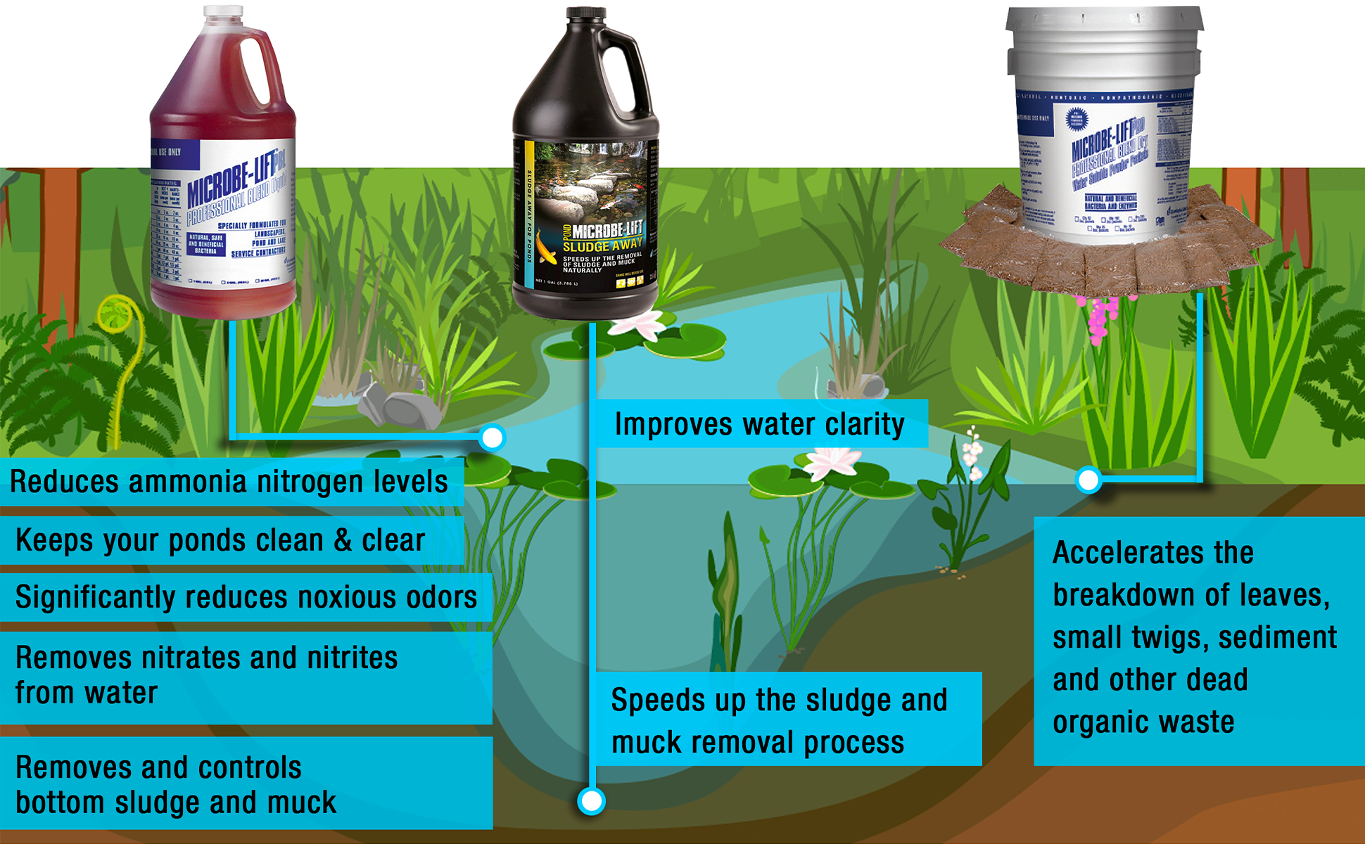 3Standard Image Header CleanPond Startup 1