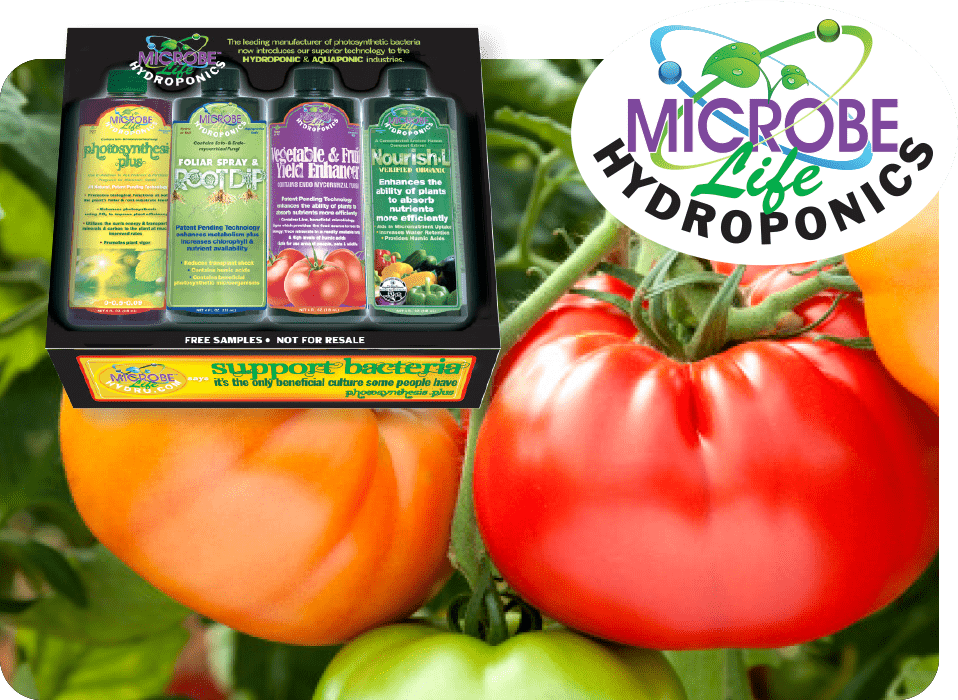 support bacteria min